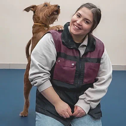 Индивидуальное занятие (30 минут)