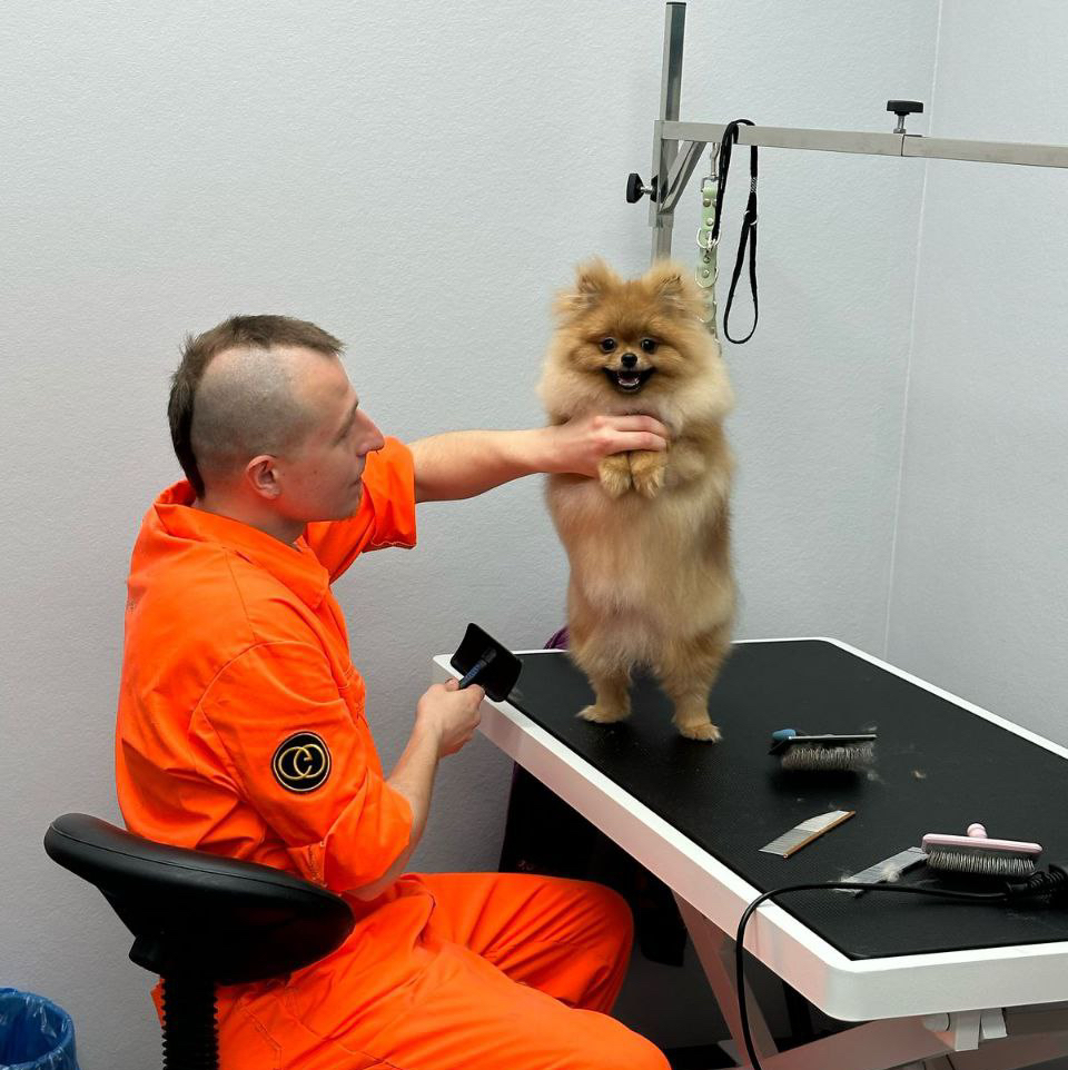 Шпиц щенячий комплекс (до 1 года)