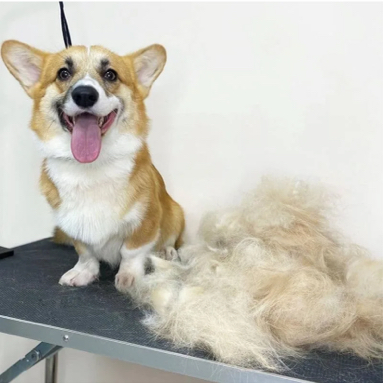 Экспресс линька