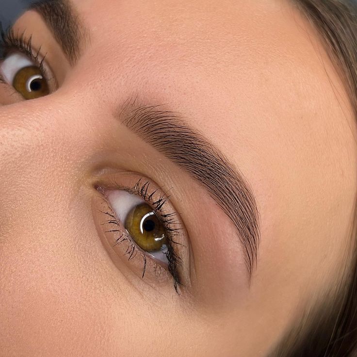 БРОВИ: ПЕРЕКРЫТИЕ СТАРОГО ПМ