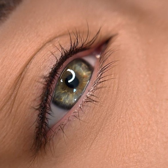 МЕЖРЕСНИЧКА