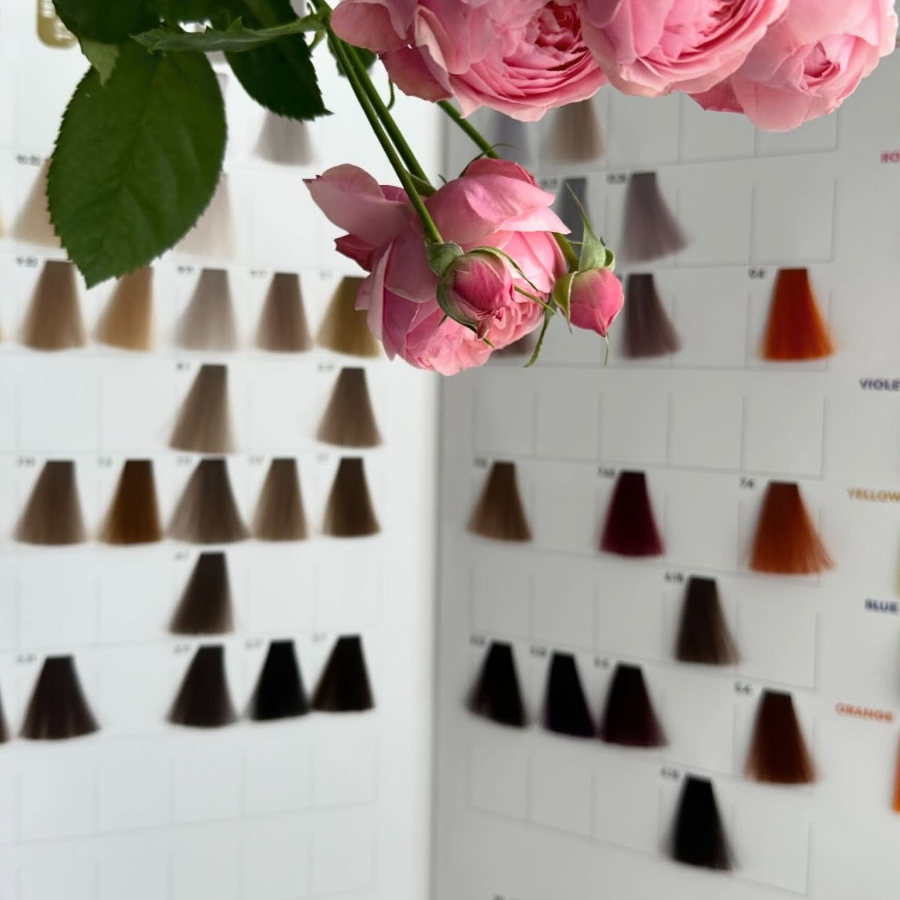 Первичная консультация