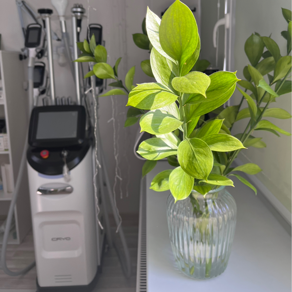 Криолиполиз 1 насадка