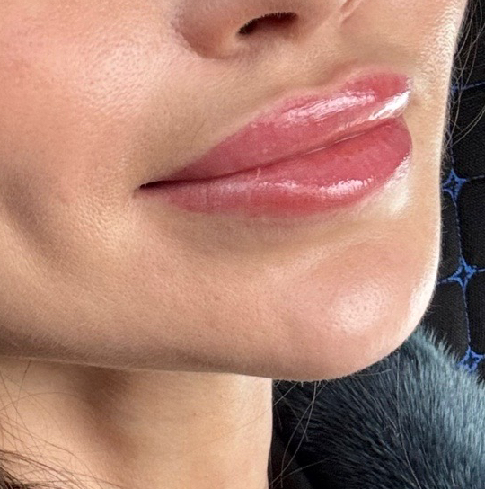 Модель на губки