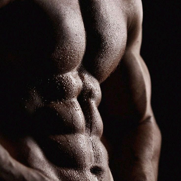 Грудь / живот