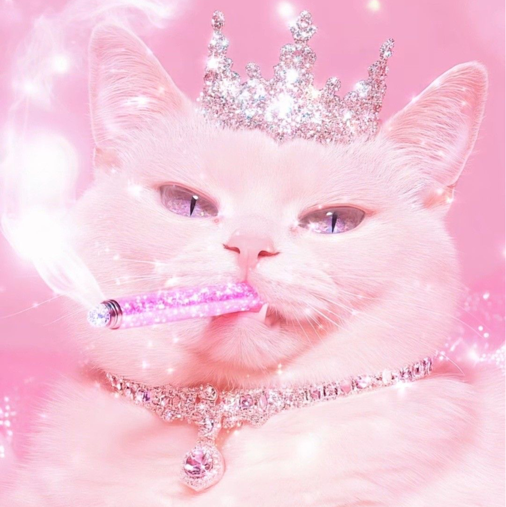 Зона над губой