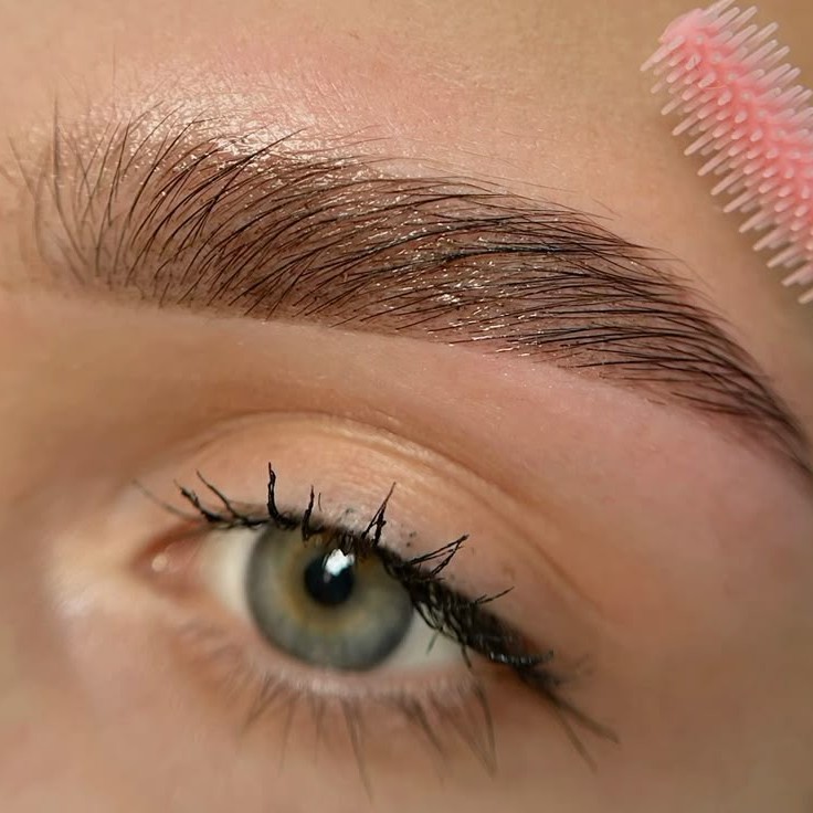 Брови ( окрашивание +коррекция)