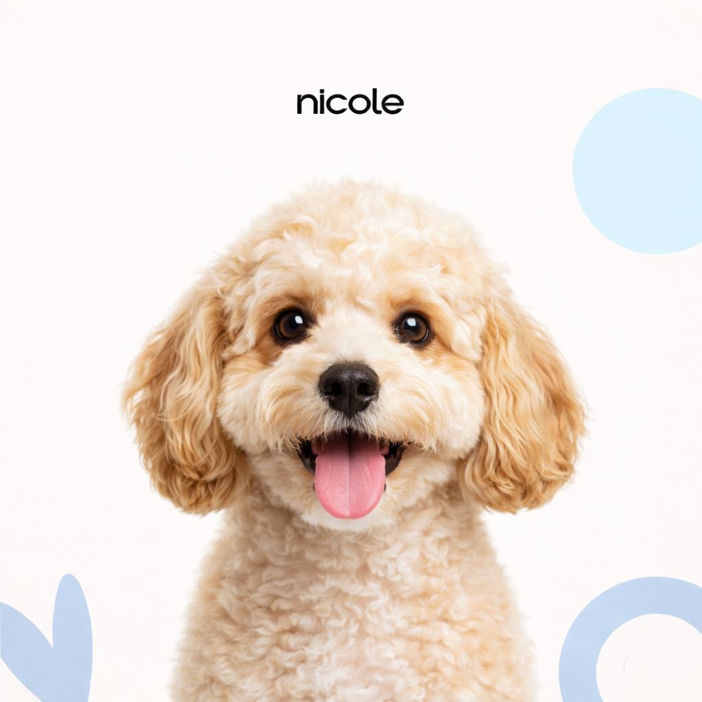 Кавапу Гигиена