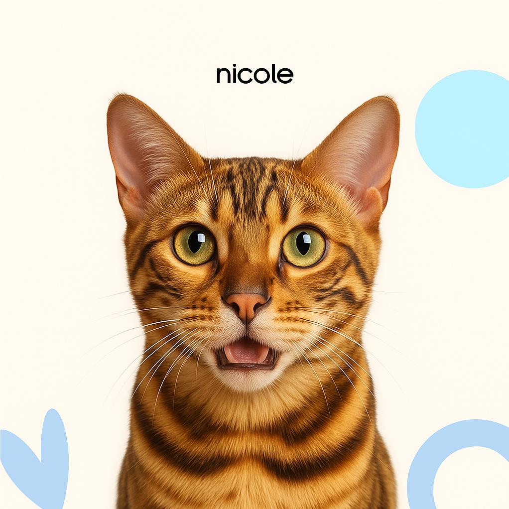 Бенгальская Стрижка (бритье) б/мытья