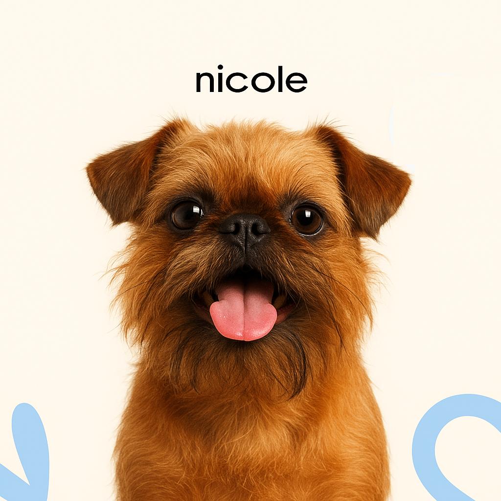 Гриффон Модельная