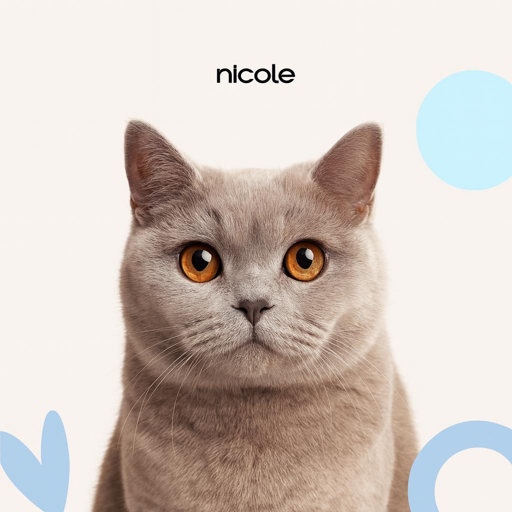 Британская д/ш Стрижка (бритье) с мытьем