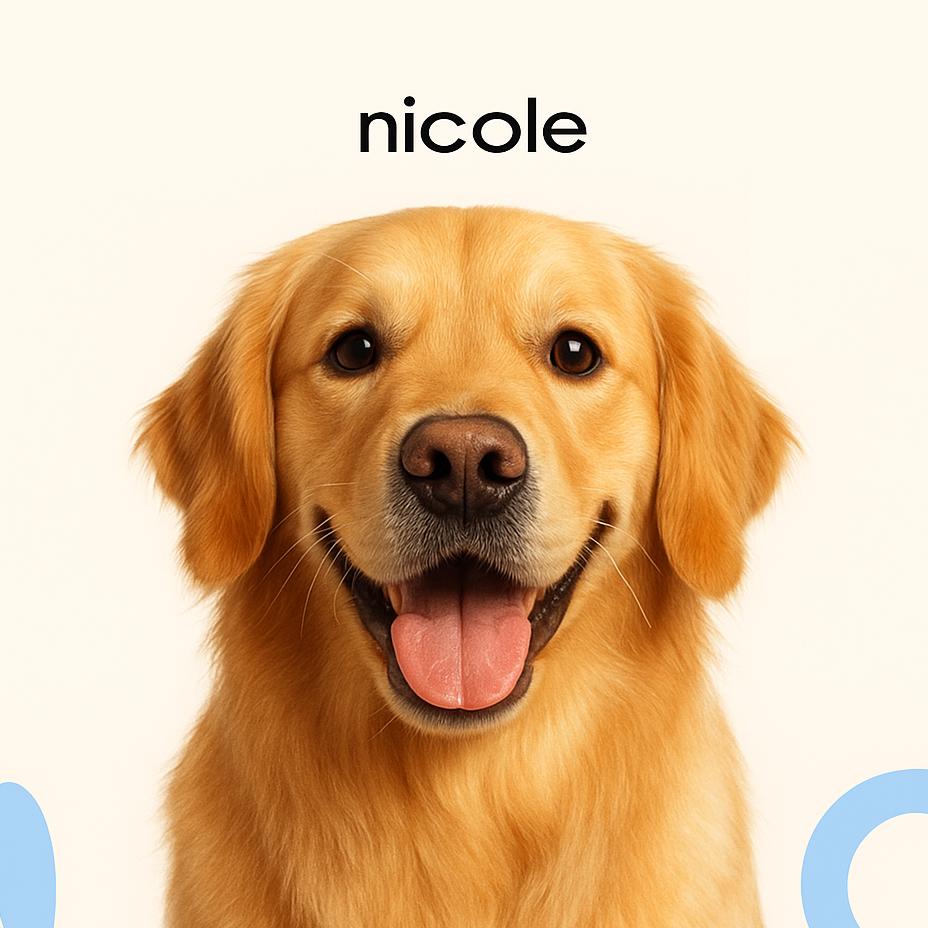 Голден ретривер