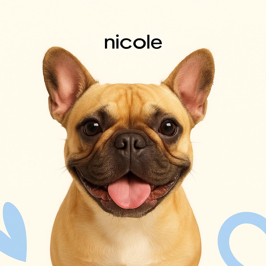 Бульдог французский