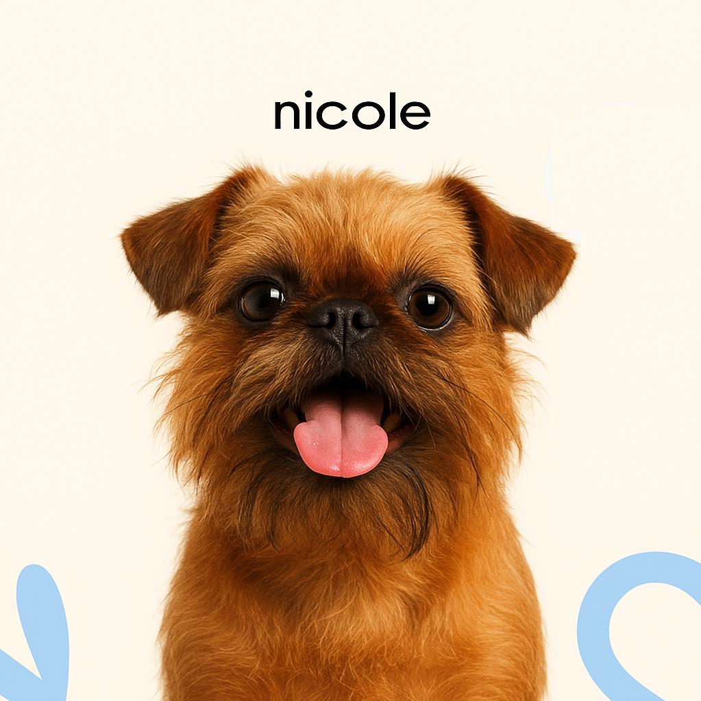 Гриффон Гигиена