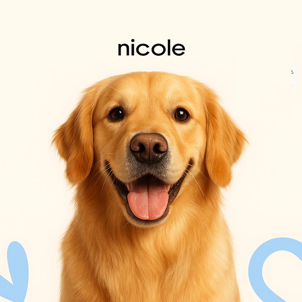 Голден ретривер Породная