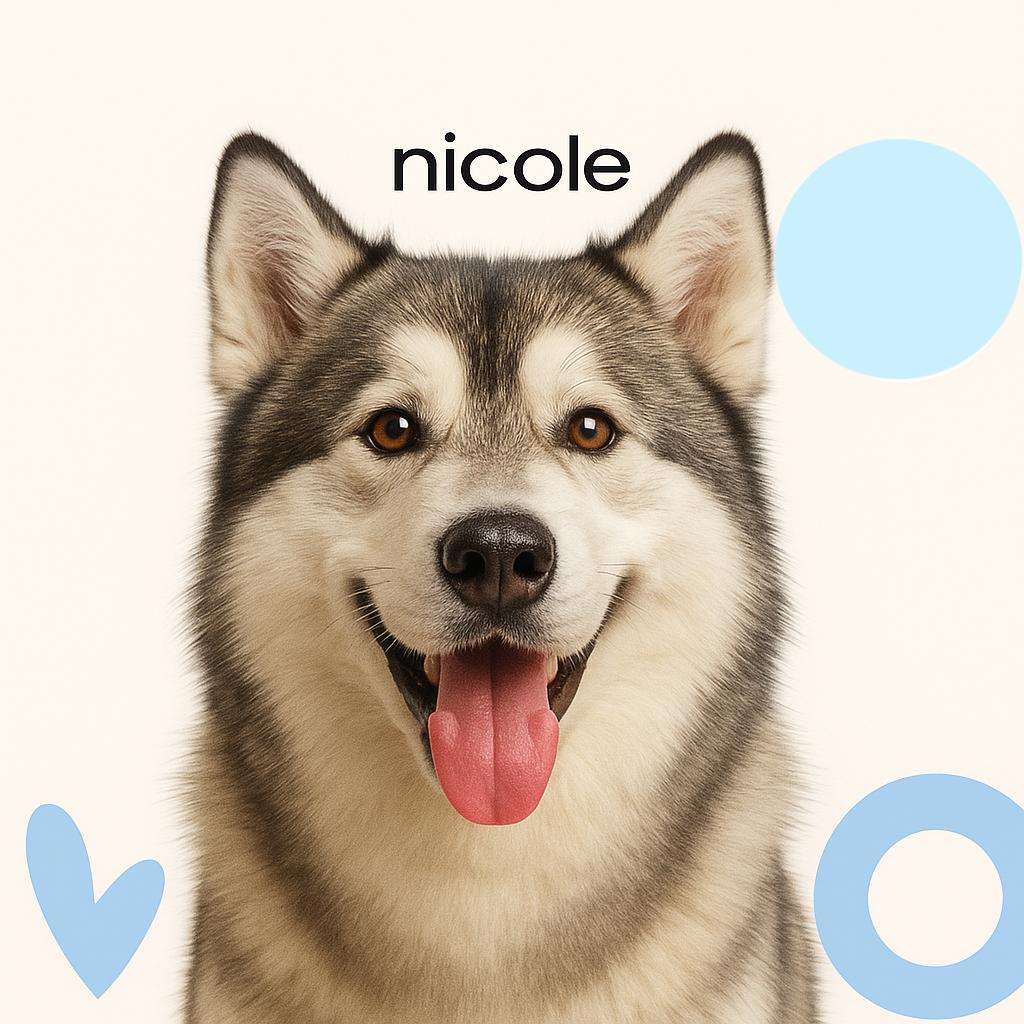 Маламут д/ш (до 40 кг)