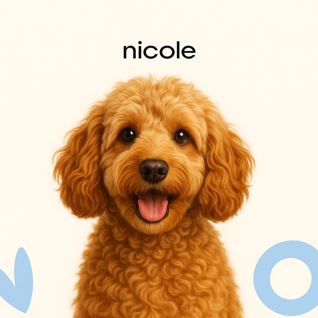 Кокапу Стрижка под машинку