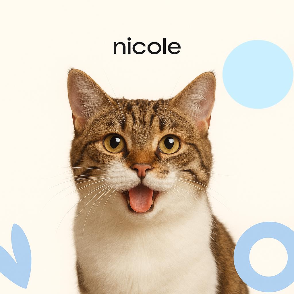 Курильский бобтейл Стрижка (бритье) б/мытья