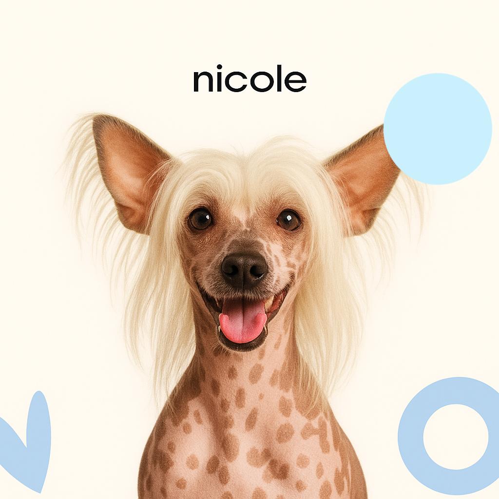 Китайская хохлатая голая Полный комплекс входит озон