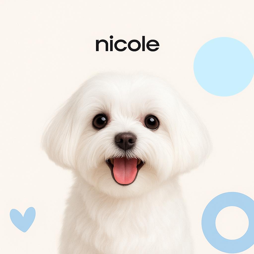 Мальтезе Гигиена