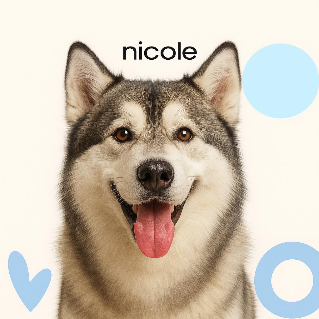 Маламут д/ш (до 50 кг)