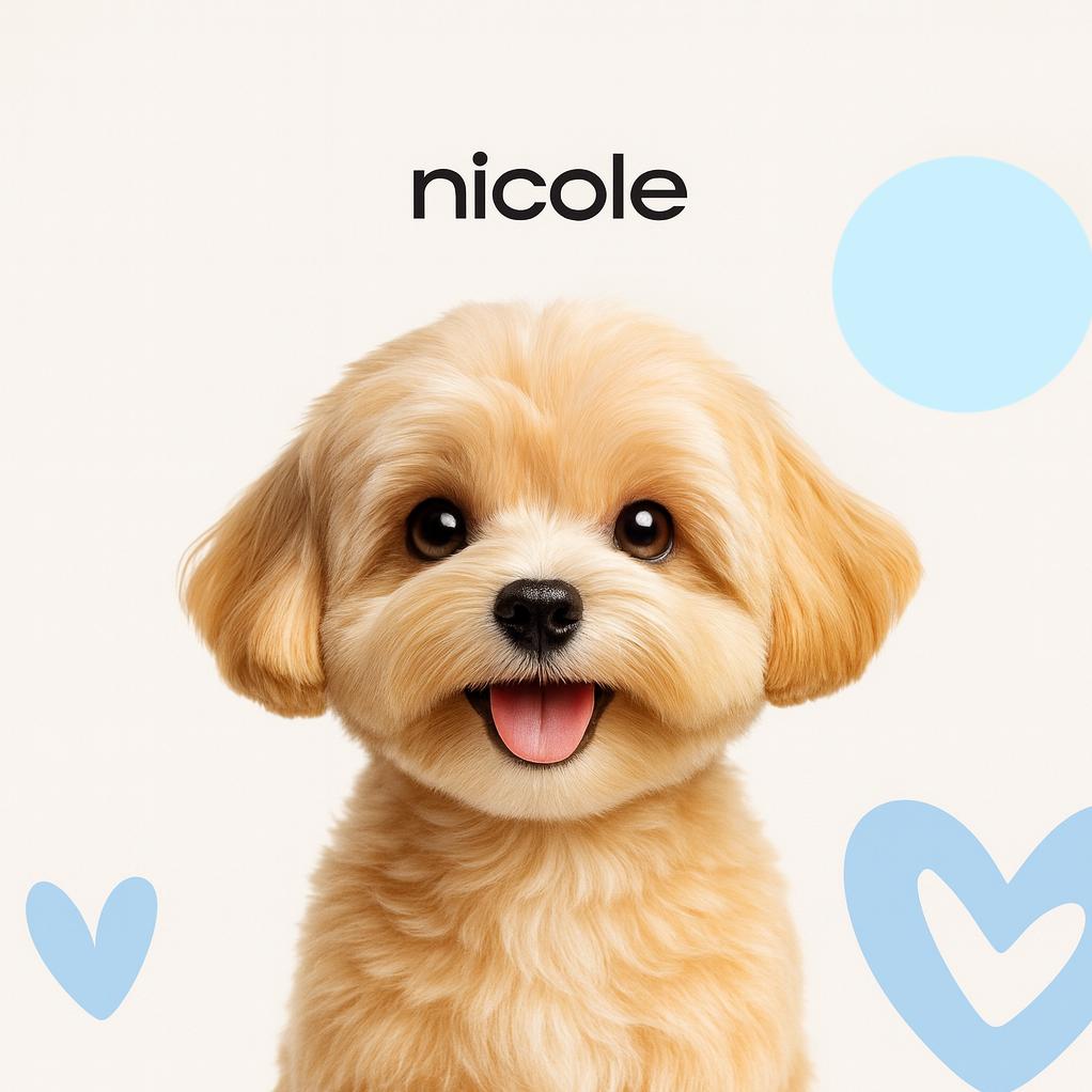 Мальтипу (до 35 см) Гигиена