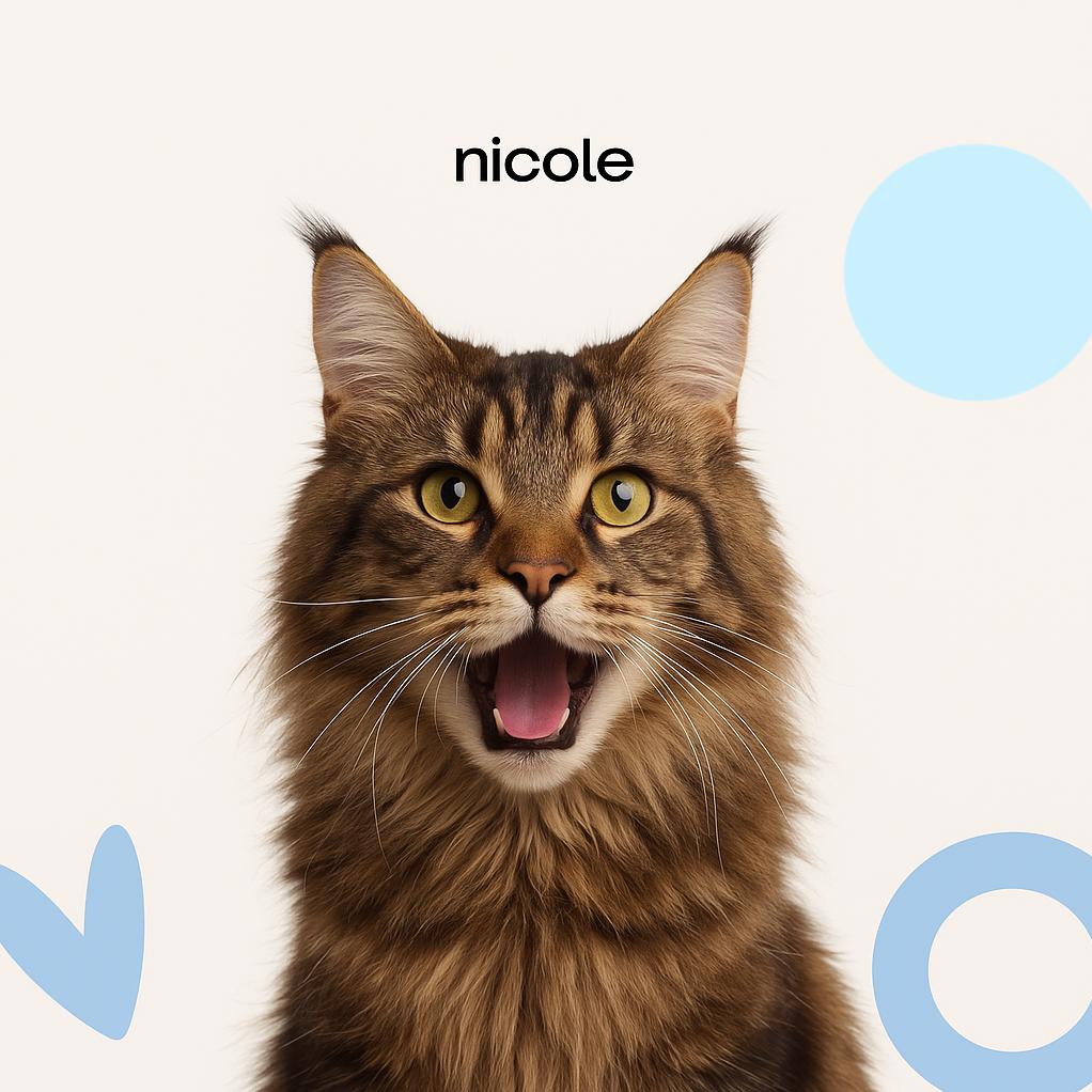 Мейн-кун Экспресс-линька