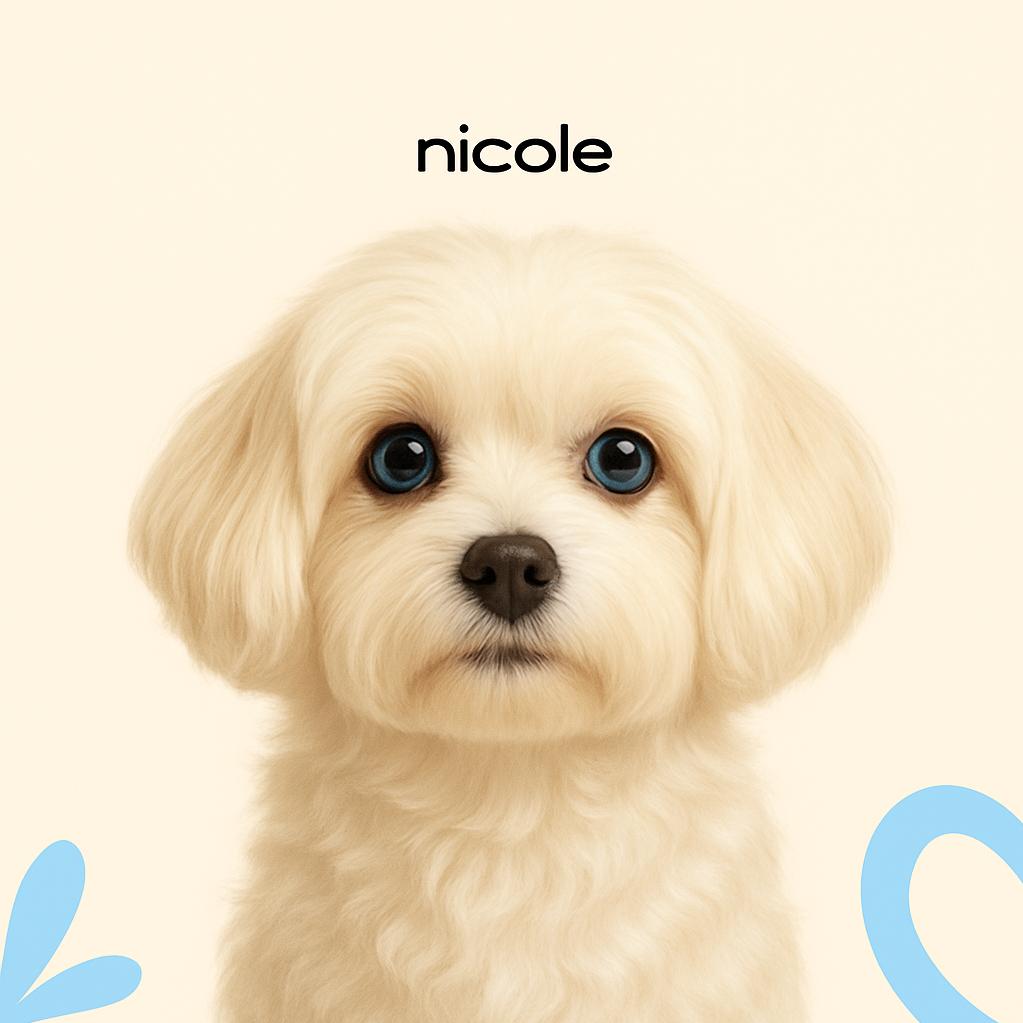 Русская салонная собака Комплекс