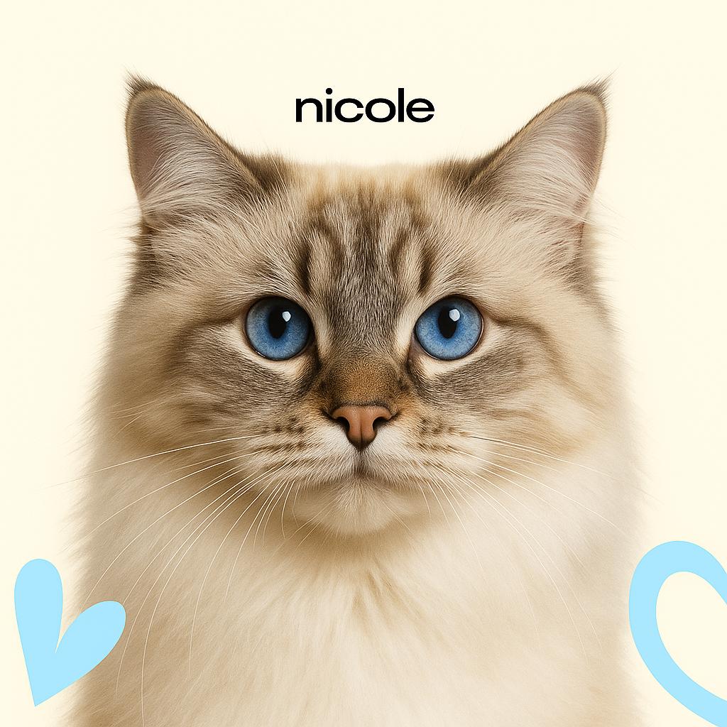 Невская маскарадная Стрижка (бритье) с мытьем