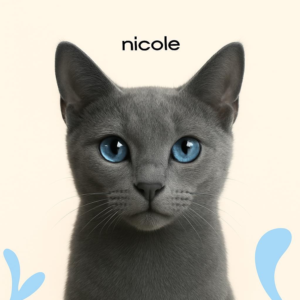 Русская голубая Экспресс-линька