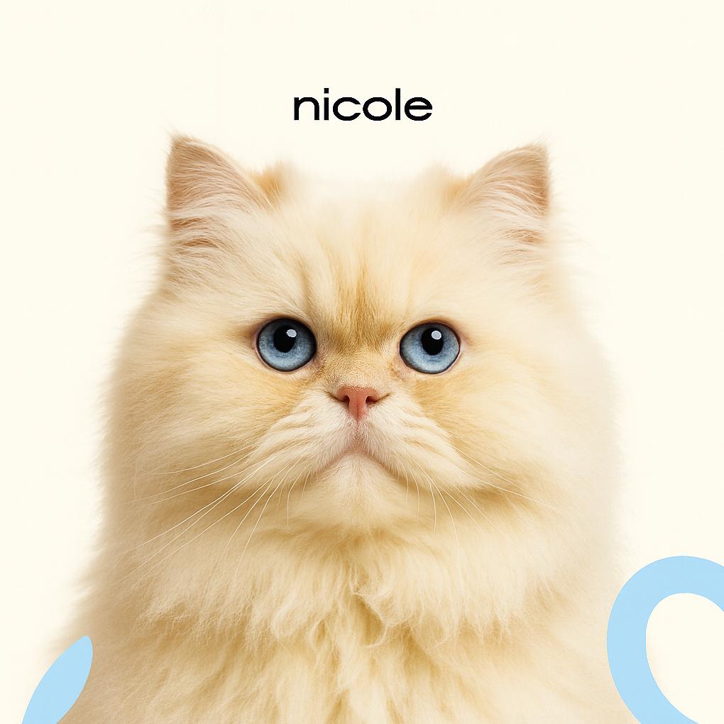 Персидская Стрижка (бритье) б/мытья