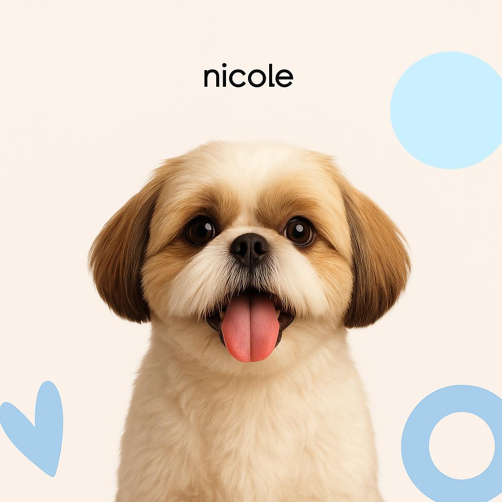 Ши-тцу Стрижка под машинку