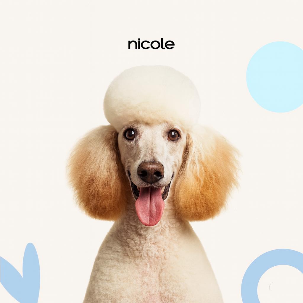 Выставочная подготовка для собак