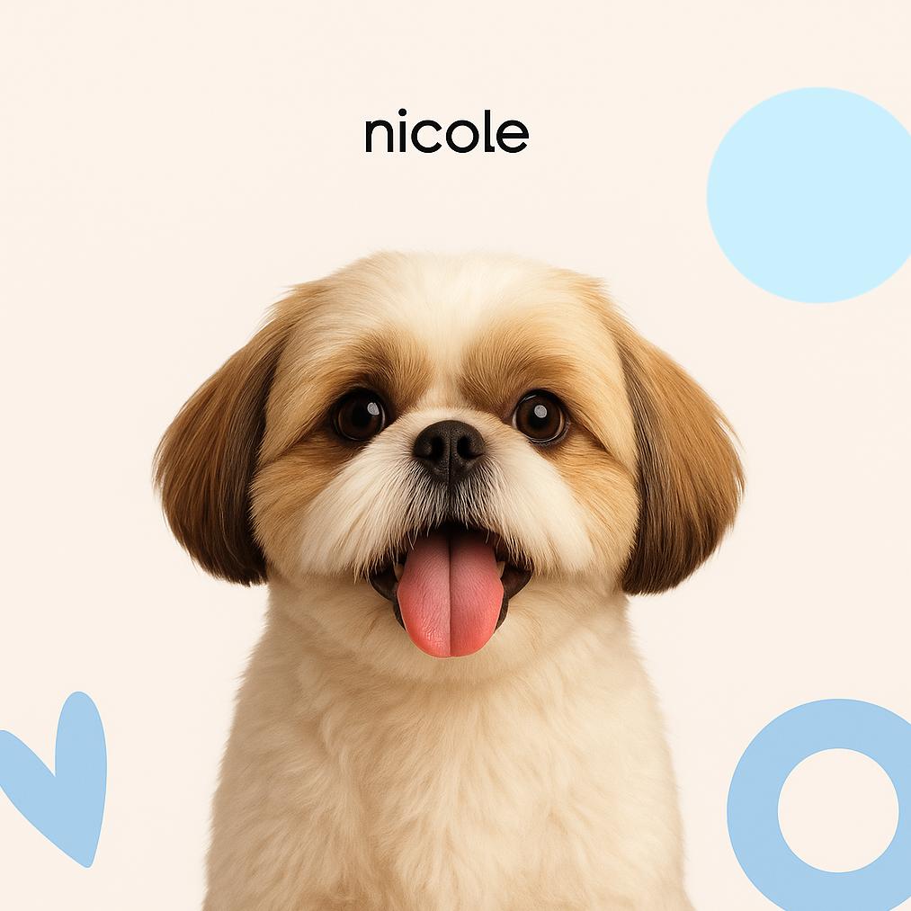 Ши-тцу Полный комплекс