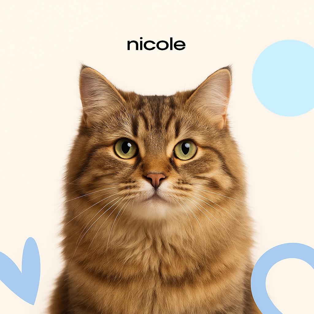 Сибирская Стрижка (бритье) б/мытья