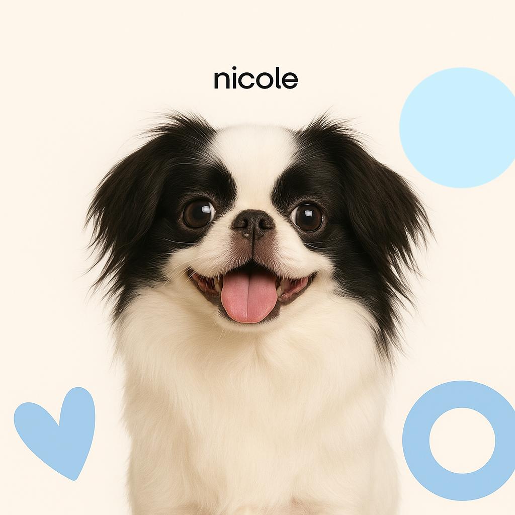 Японский Хин Полный комплекс