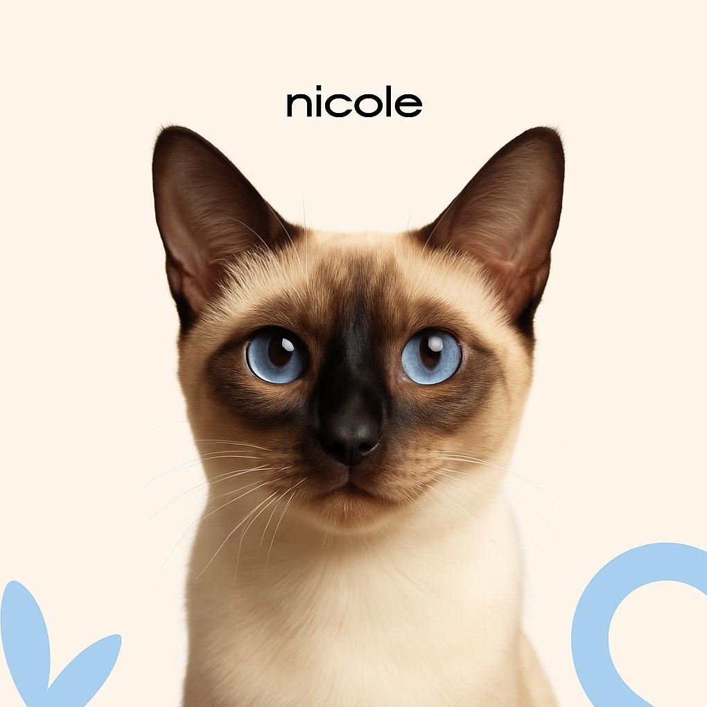 Тайская Экспресс-линька