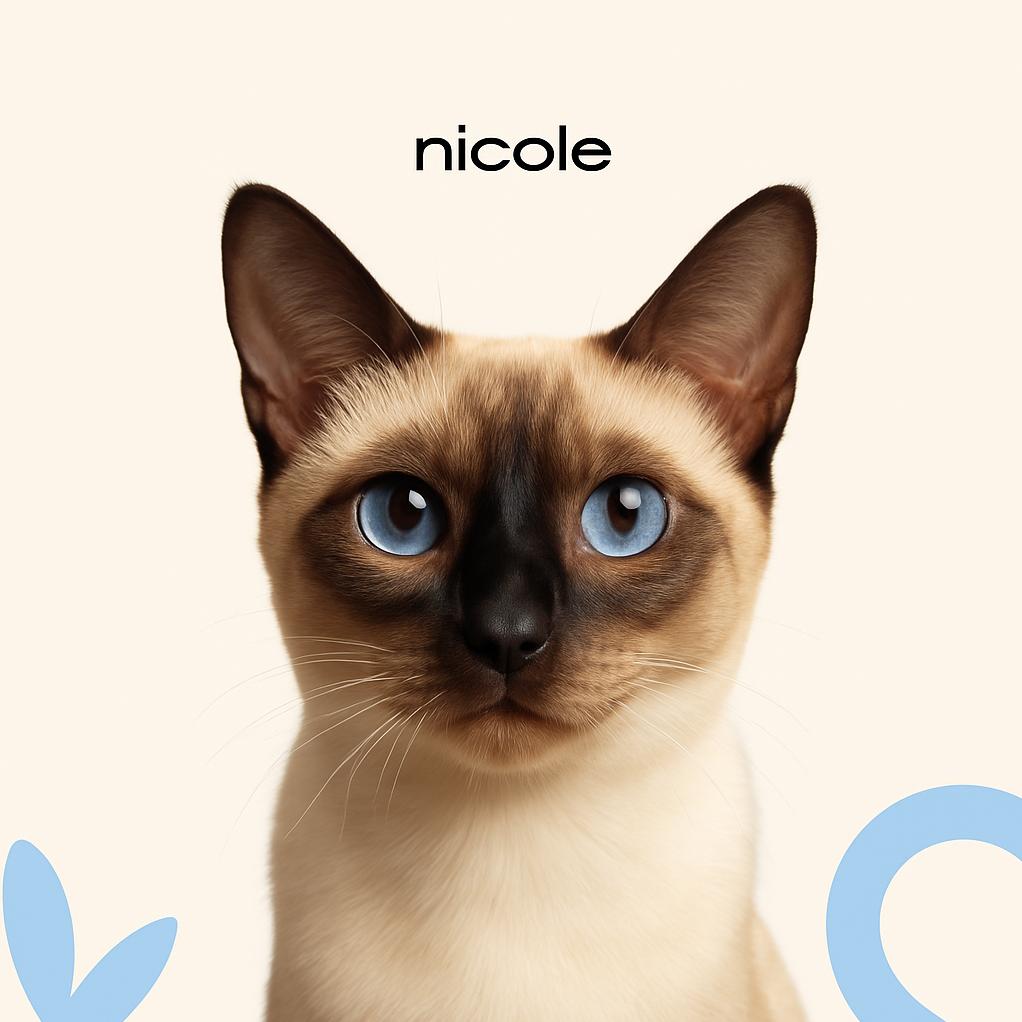 Тайская Стрижка (бритье) с мытьем