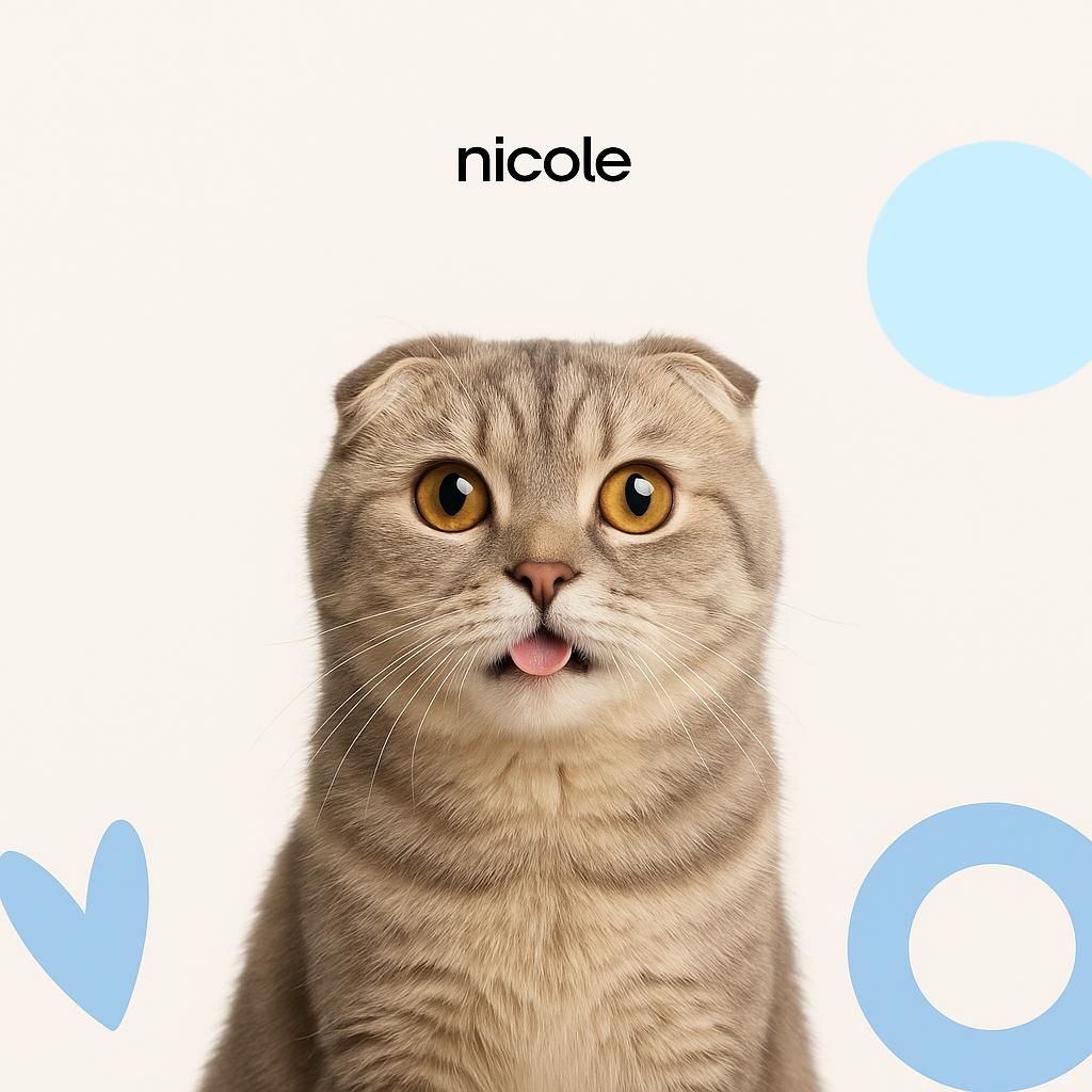 Шотландская к/ш Экспресс-линька