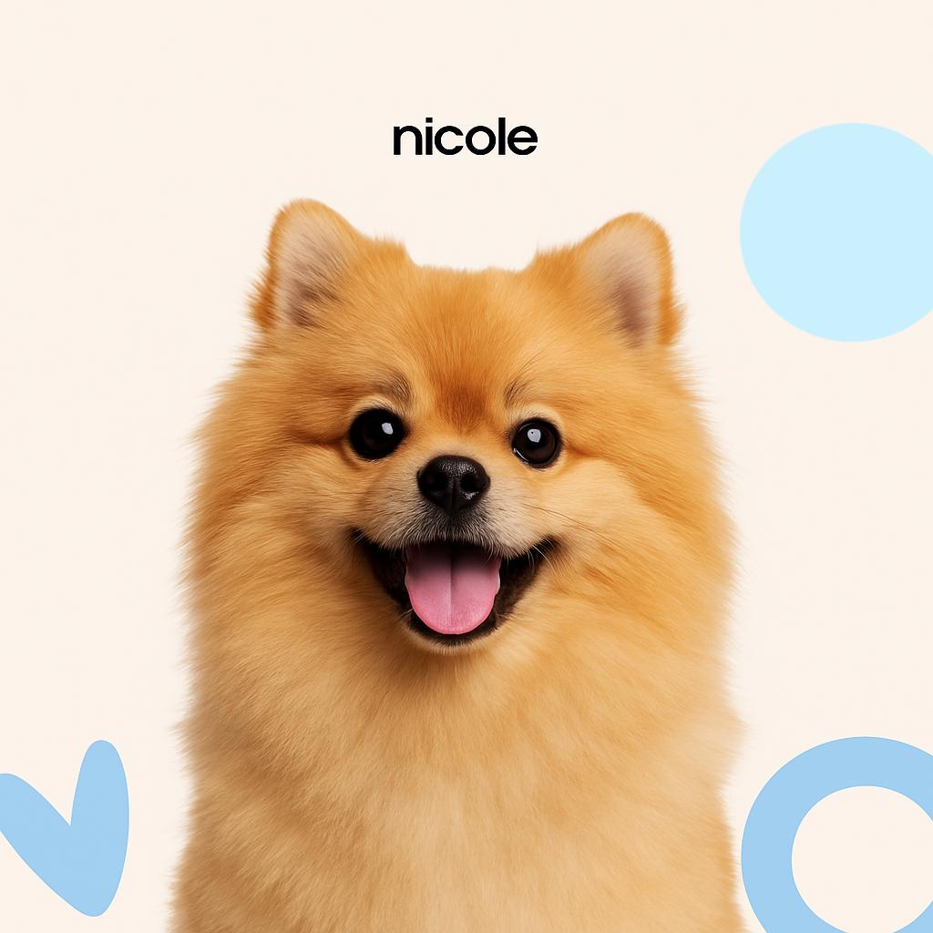 Шпиц Комплекс (8-12 кг)