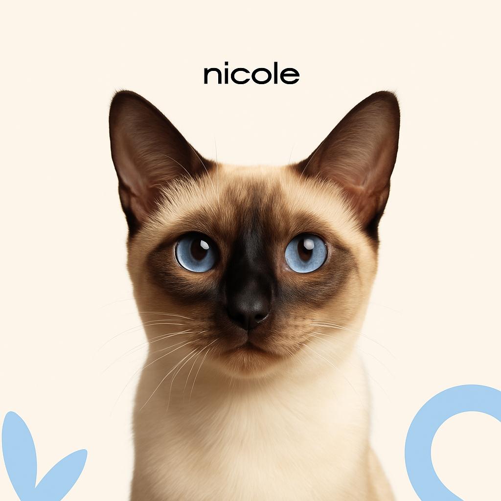 Тайская Стрижка (бритье) б/мытья