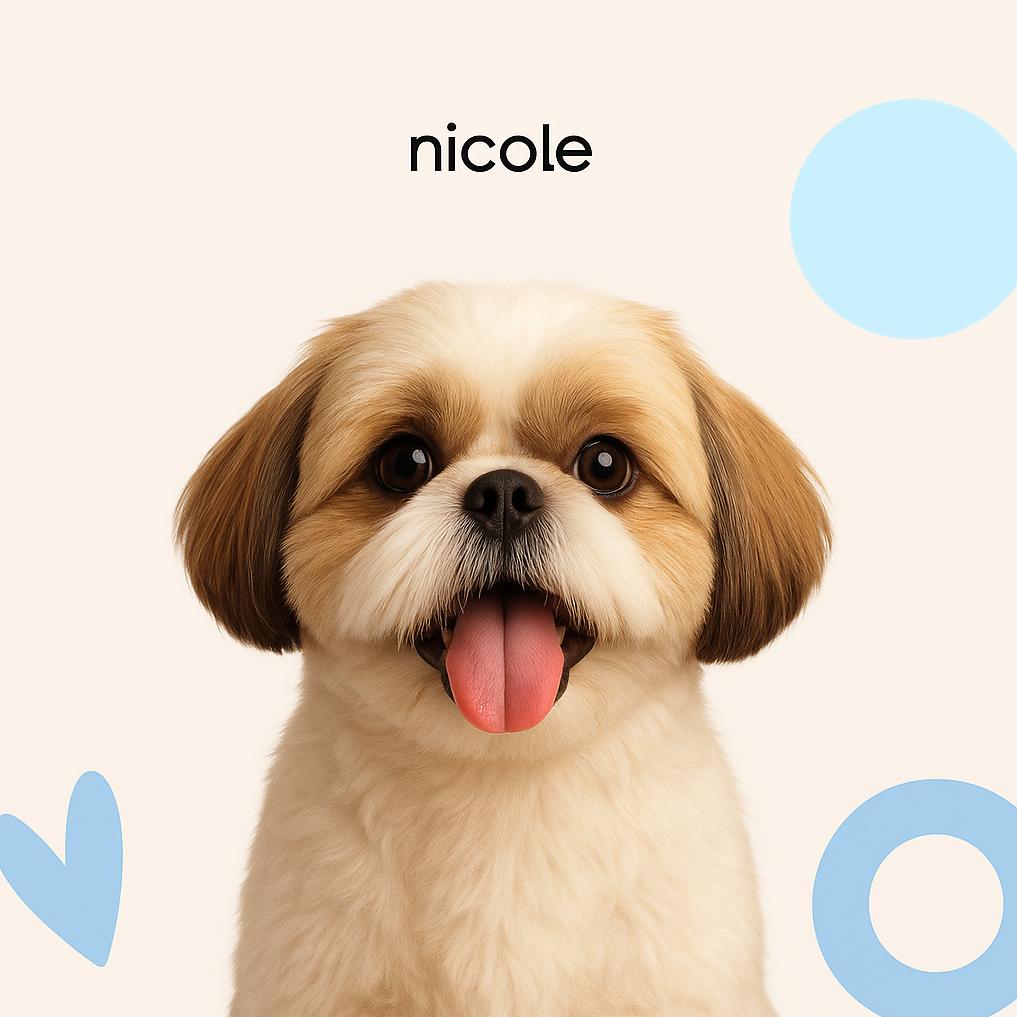 Ши-тцу Гигиена