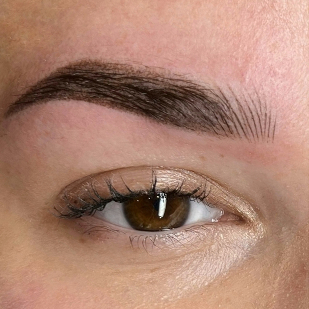 Брови в смешанной технике (первичная процедура)