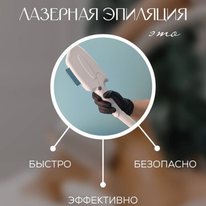 Верхняя губа