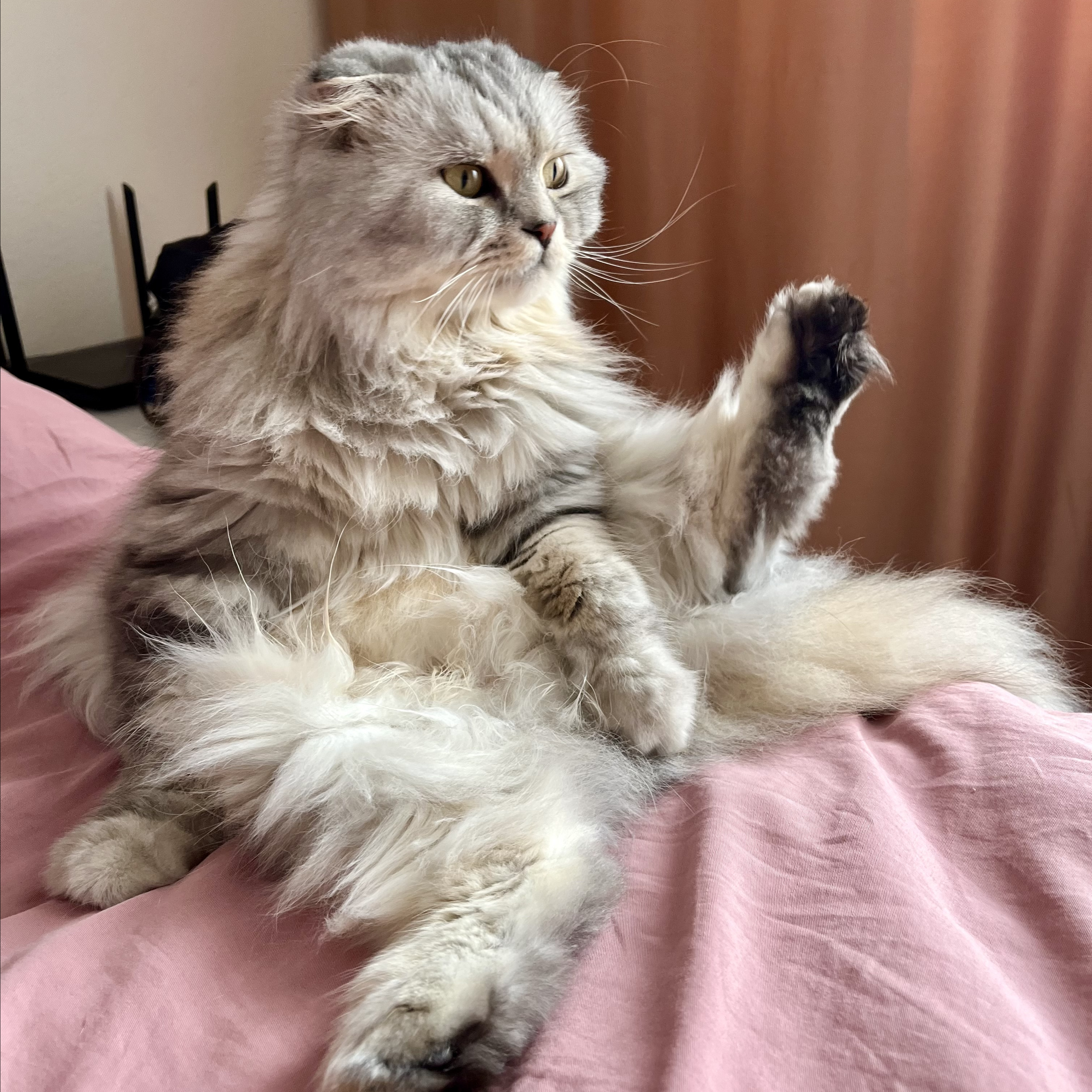Килька