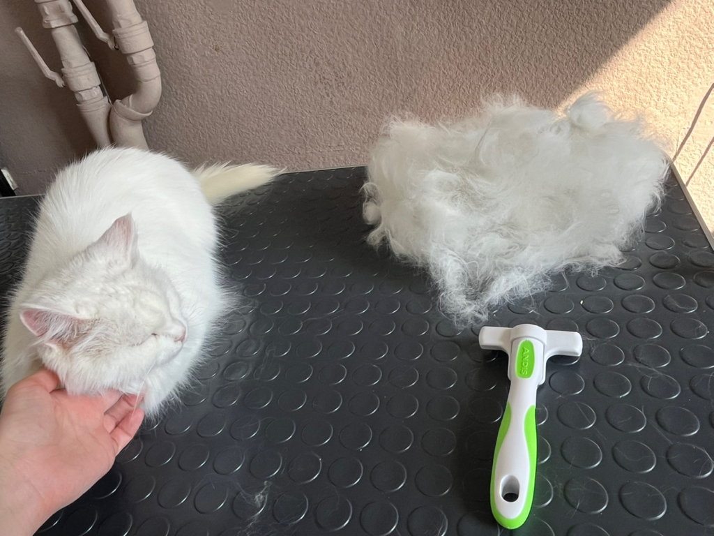 Полный комплекс для длиношерстного кота