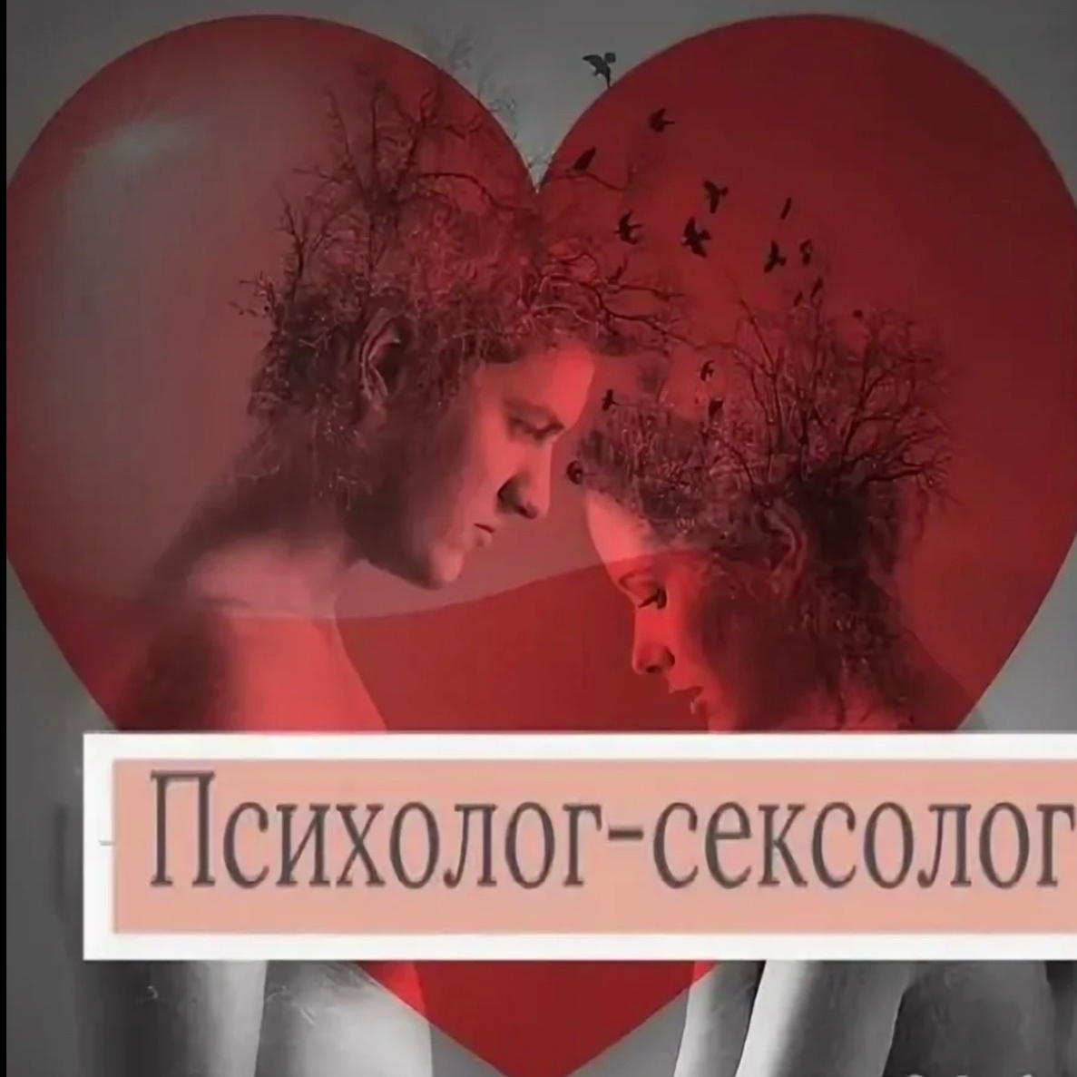 Сексолог