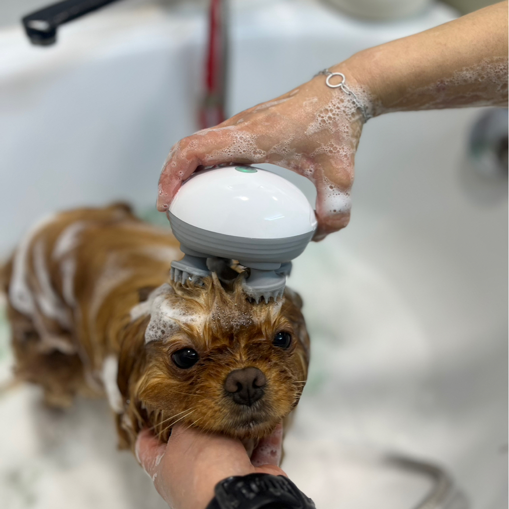 Комплекс с помощником