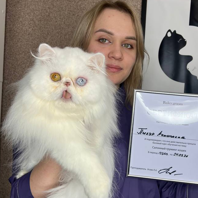 Пихур Анастасия