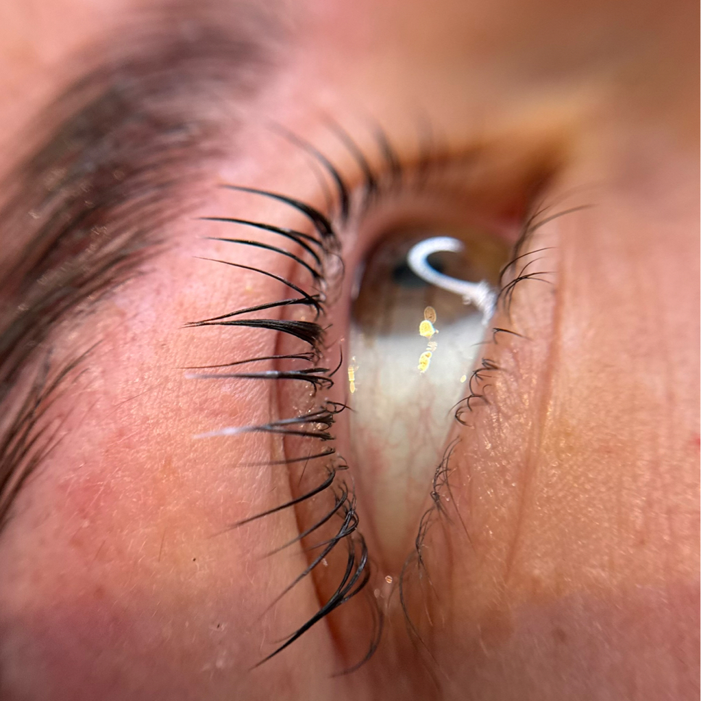 Lash lamination